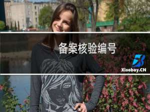 备案核验编号: 还在提交管局状态
