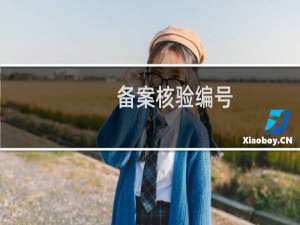 备案核验编号: 问题求助