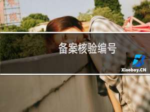 备案核验编号:  取消一个域名:pddpu.com备案