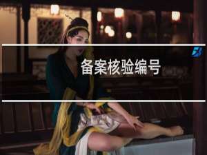 备案核验编号:  备案问题