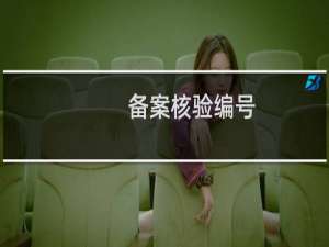 备案核验编号：审核申请-备案平台