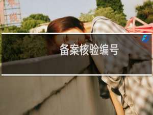 备案核验编号：怎么还没审核通过哟