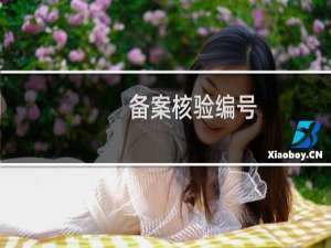 备案核验编号：-备案平台