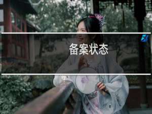 备案状态：报备--待接入商审核