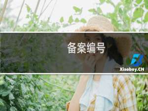 备案编号：申请被退回-备案平台