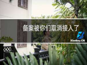 备案被你们取消接入了-备案平台