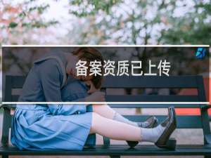 备案资质已上传，麻烦帮上报下管局