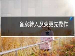 备案转入及变更先操作哪个？