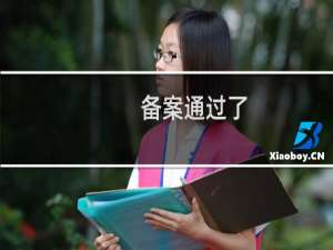 备案通过了，西数的备案系统上面也显示了