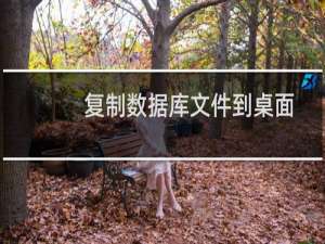 复制数据库文件到桌面，导致数据库出错。