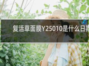 复活草面膜Y25010是什么日期