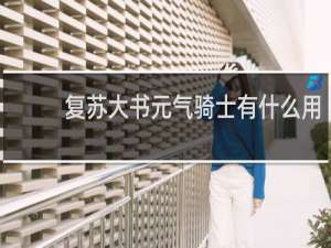 复苏大书元气骑士有什么用