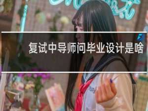 复试中导师问毕业设计是啥