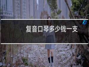 复音口琴多少钱一支
