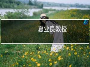夏业良教授