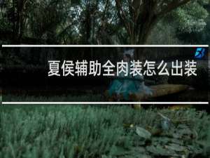 夏侯辅助全肉装怎么出装