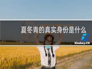 夏冬青的真实身份是什么