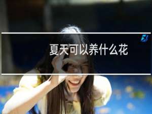 夏天可以养什么花