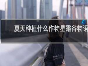 夏天种植什么作物星露谷物语