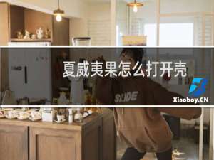 夏威夷果怎么打开壳（夏威夷果怎么打开）