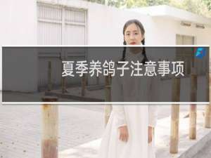 夏季养鸽子注意事项