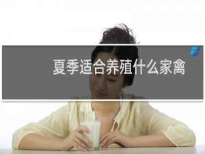 夏季适合养殖什么家禽