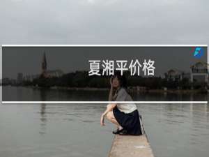 夏湘平价格