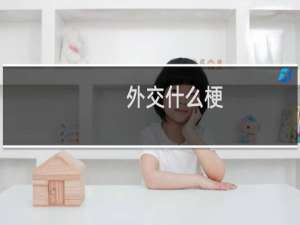 外交什么梗