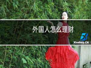 外国人怎么理财