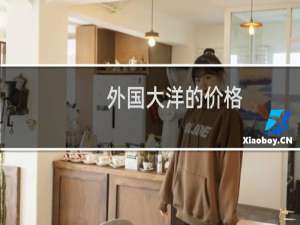 外国大洋的价格