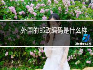 外国的邮政编码是什么样