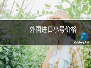 外国进口小号价格