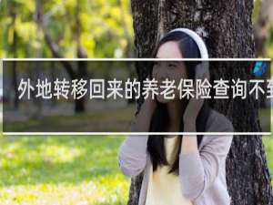 外地转移回来的养老保险查询不到吗