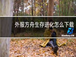 外服方舟生存进化怎么下载