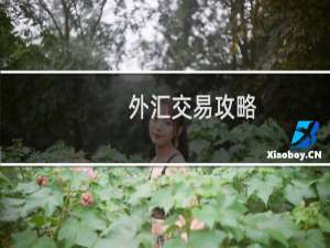 外汇交易攻略