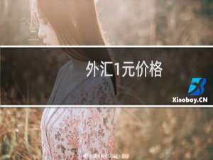 外汇1元价格