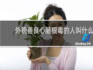 外貌善良心肠狠毒的人叫什么