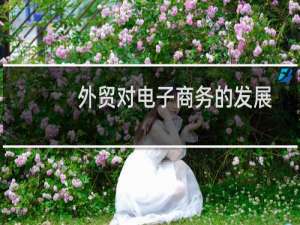 外贸对电子商务的发展