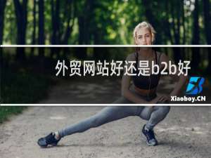 外贸网站好还是b2b好