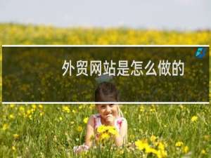 外贸网站是怎么做的