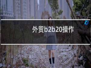 外贸b2b 操作