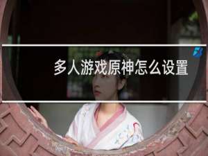多人游戏原神怎么设置