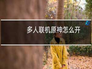 多人联机原神怎么开