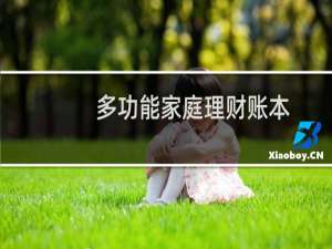 多功能家庭理财账本