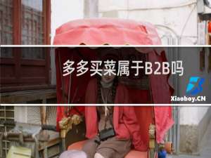 多多买菜属于B2B吗