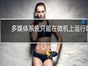 多媒体系统只能在微机上运行吗