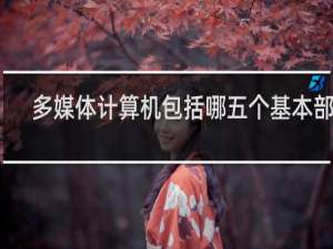 多媒体计算机包括哪五个基本部件