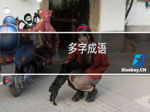 多字成语