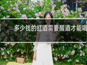 多少钱的红酒需要醒酒才能喝