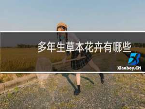 多年生草本花卉有哪些